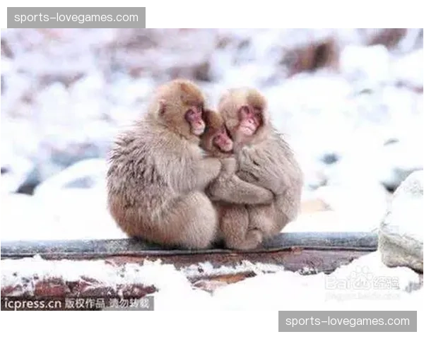 本季度看台保洁频次由算法触发 传统区域包干模式趋向瓦解